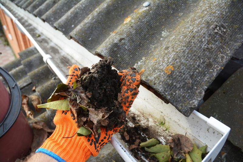 Business Gutter Cleaning in Littleton, CO