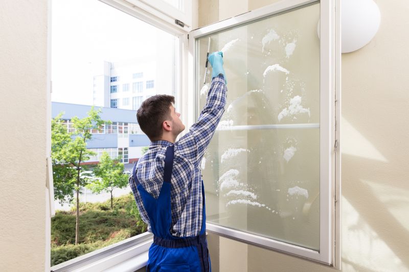 Window And Siding Cleaning detail