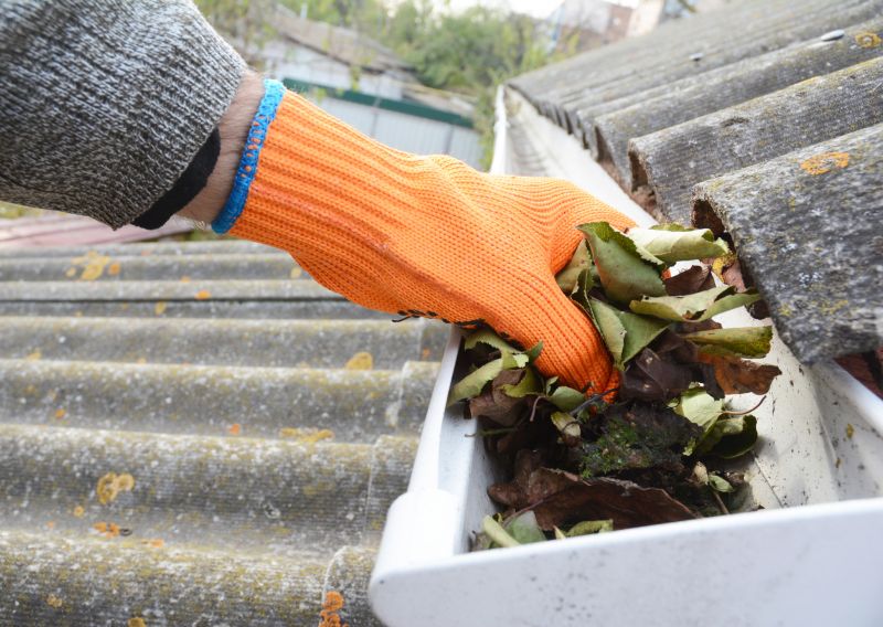 Gutter Leaves Removal in Boulder, CO