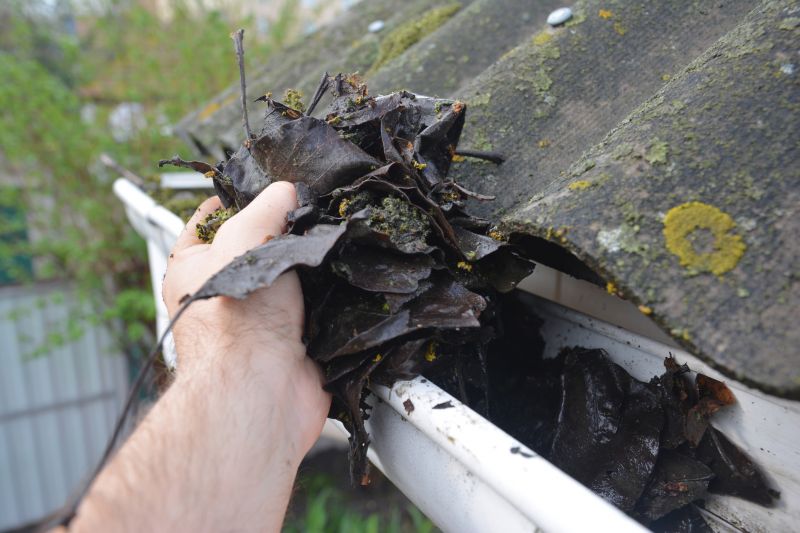 Gutter Maintenance in Rochester, NY