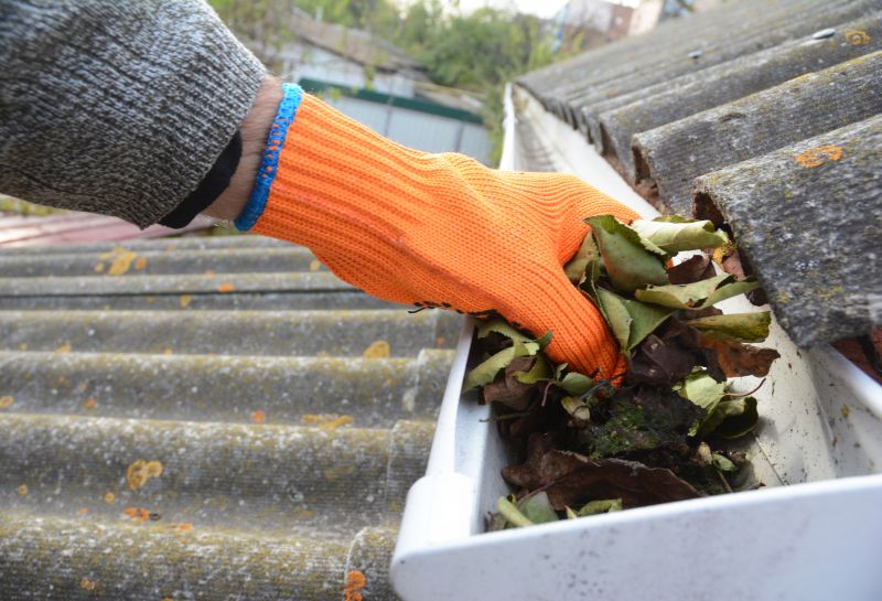 Gutter Pine Needle Removal in Baltimore, MD