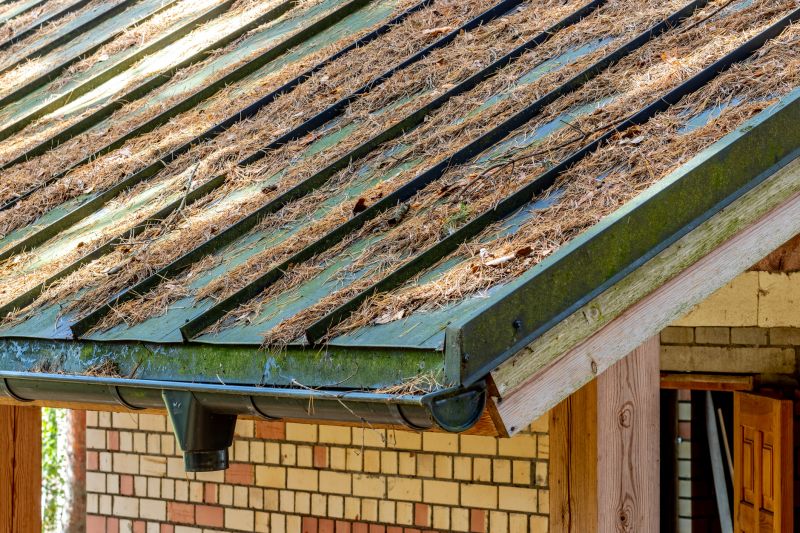 Gutter Pine Needle Removal in Annapolis, MD